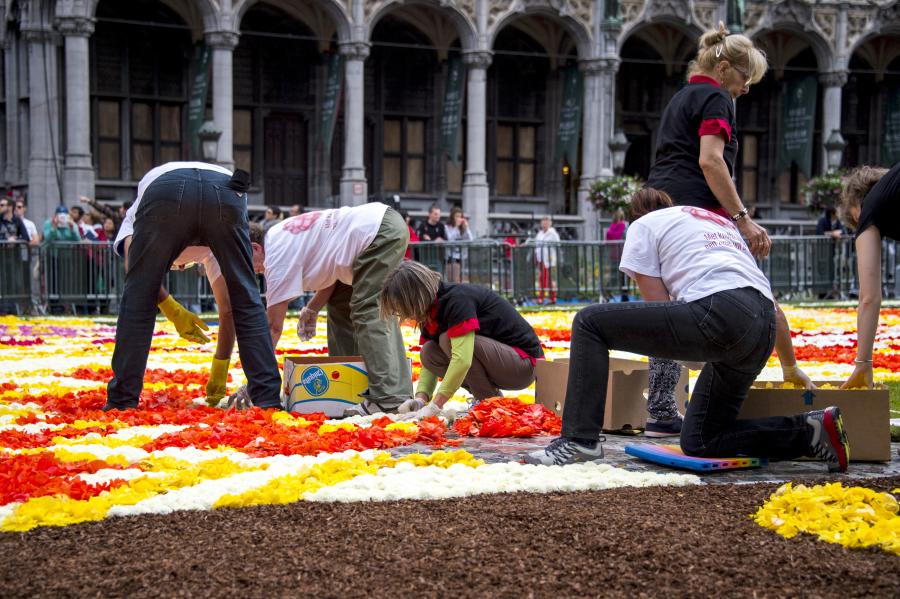 flower carpet 2016