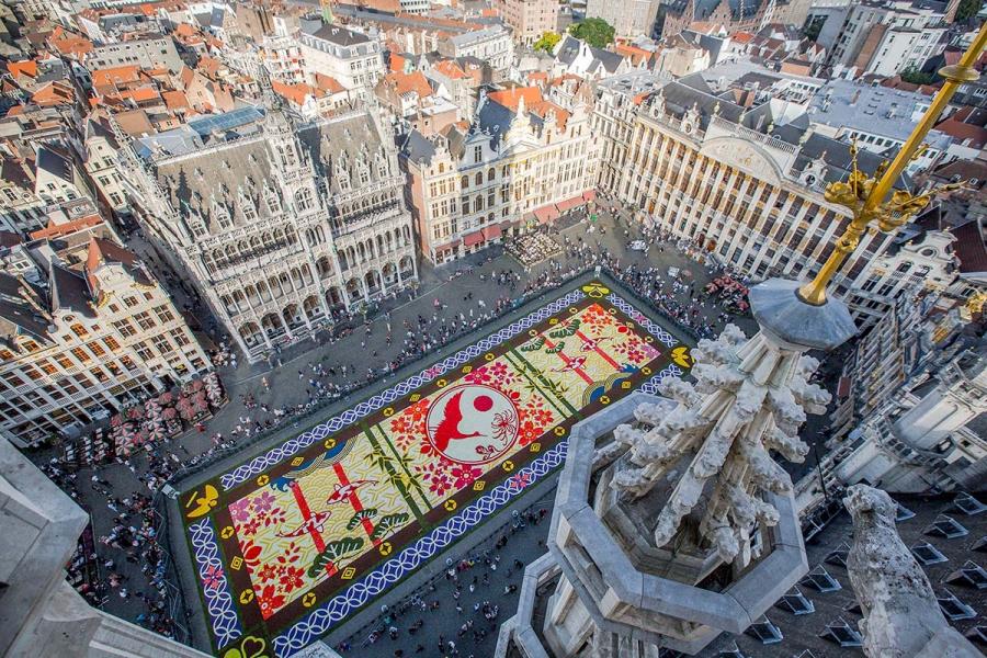 tapis 2016